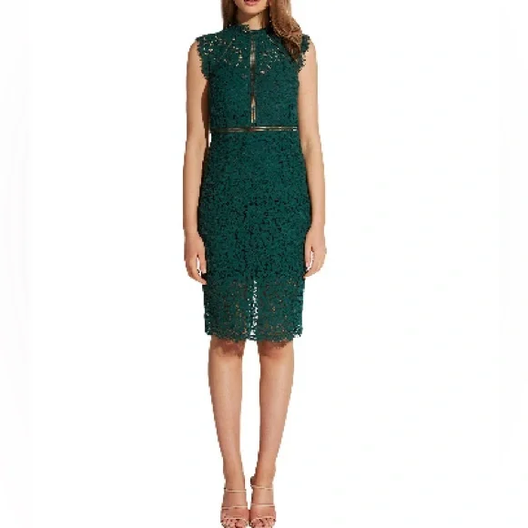 bardot lace dress nordstrom Bardot Lace Sheath Cocktail Dress